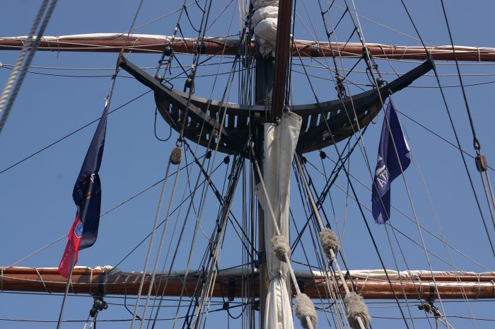 gal/tall ships 2008/IMGP6938.jpg